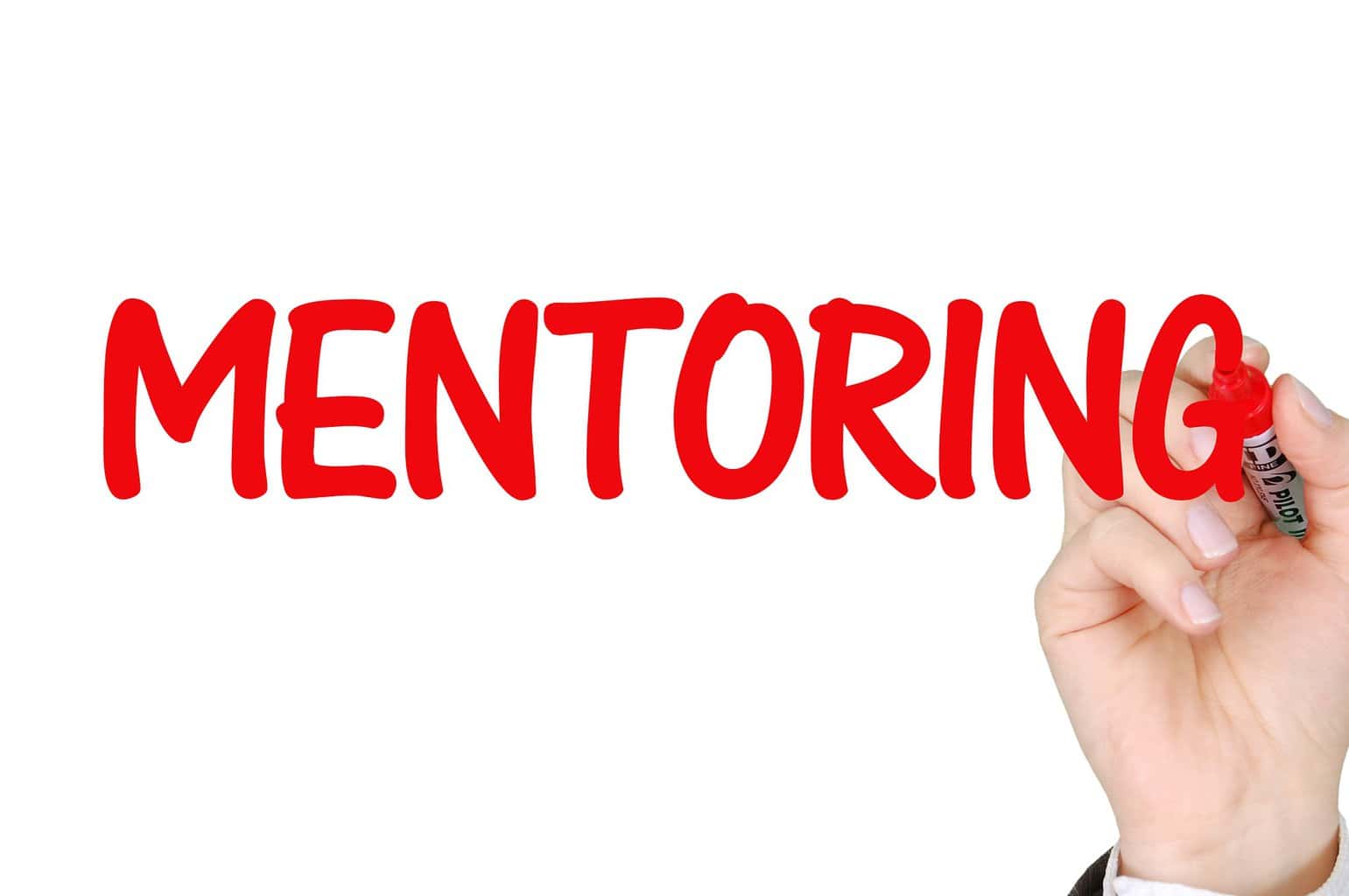Affiliate Business Mentor