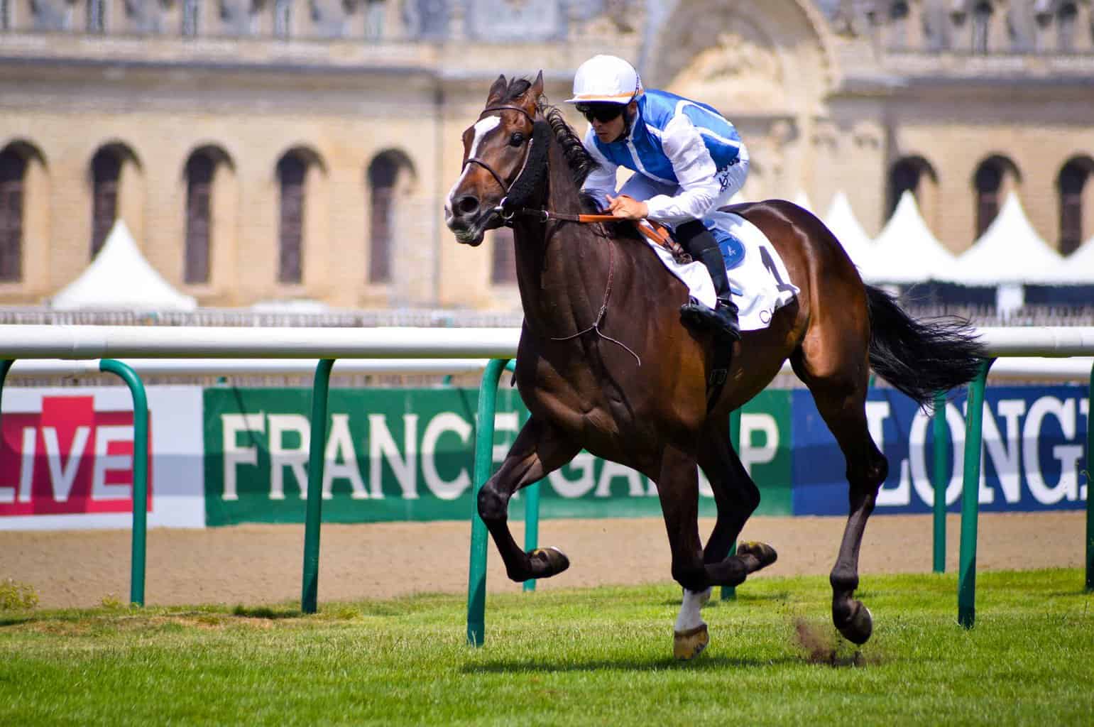 Tote Sports Betting