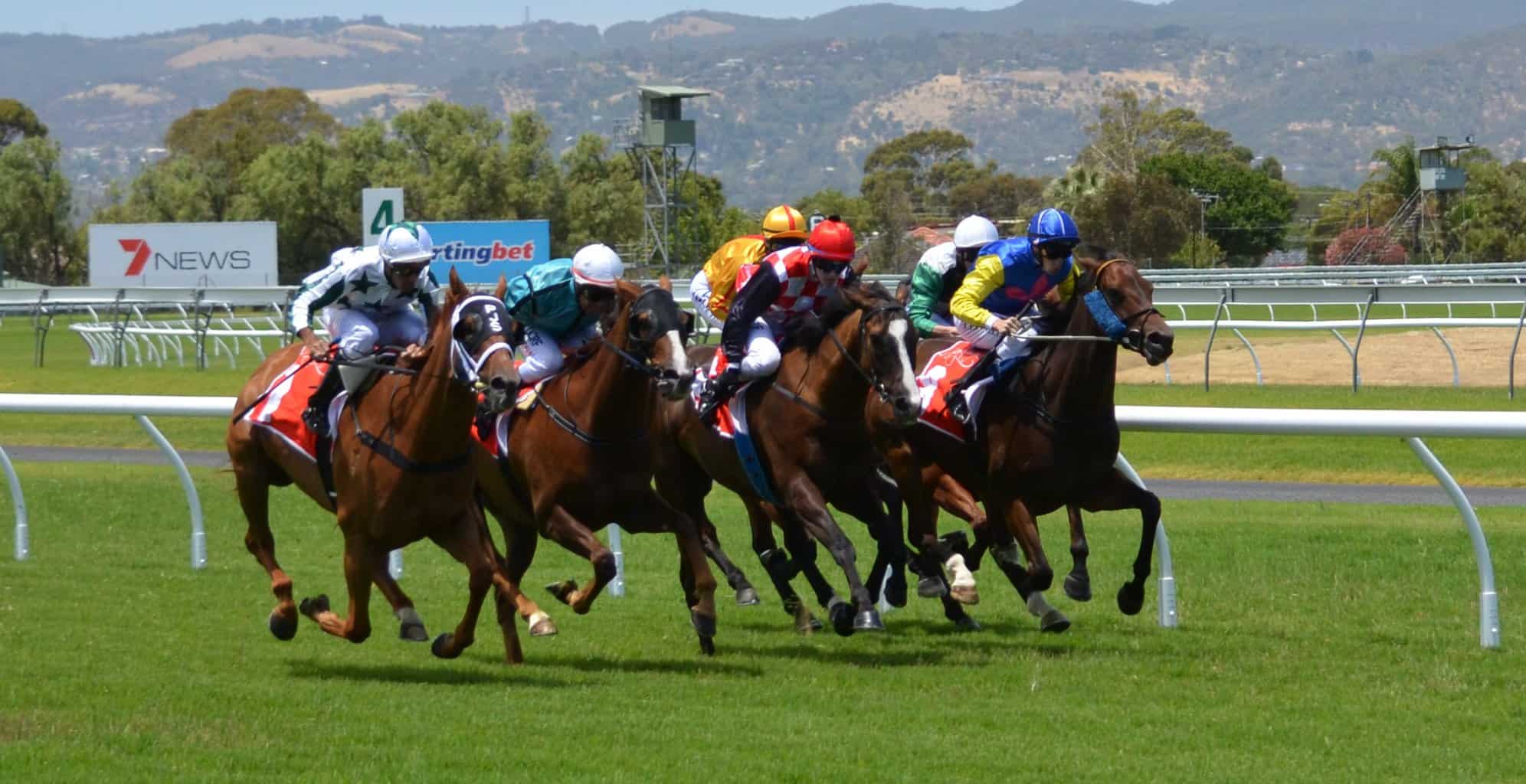 horse-racing-358907