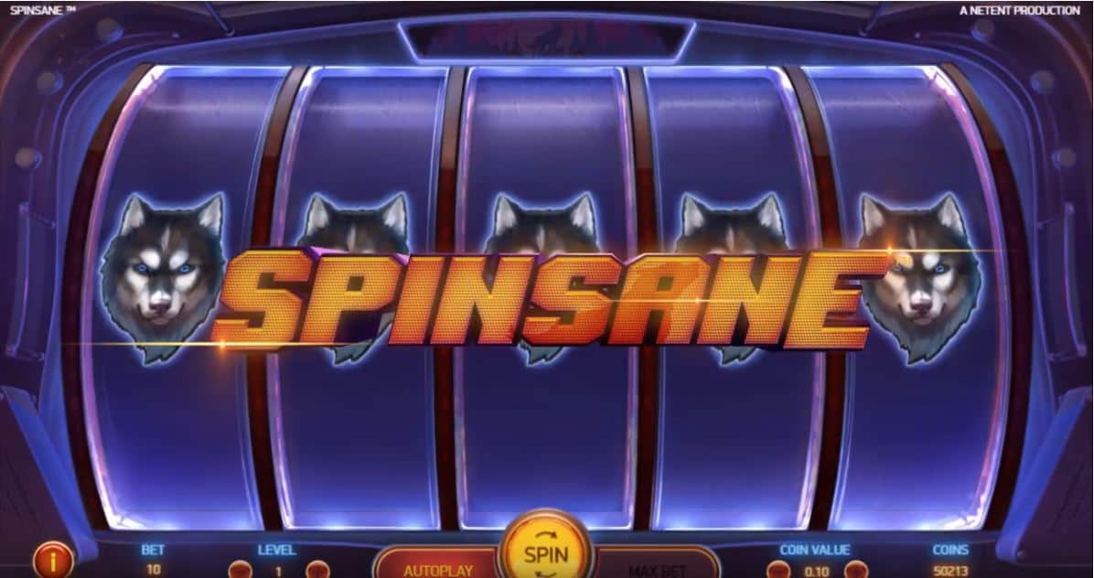 Spinsane-5d01fb72d4cc3