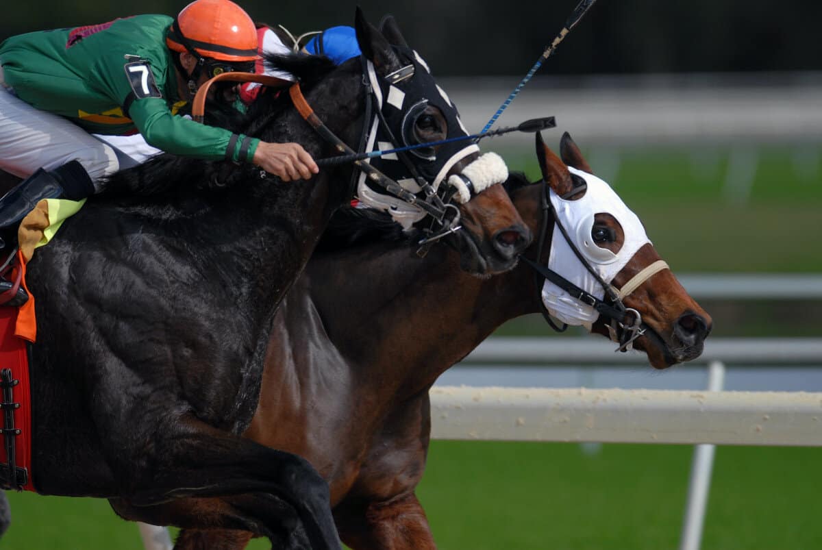 ireland-horse-racing