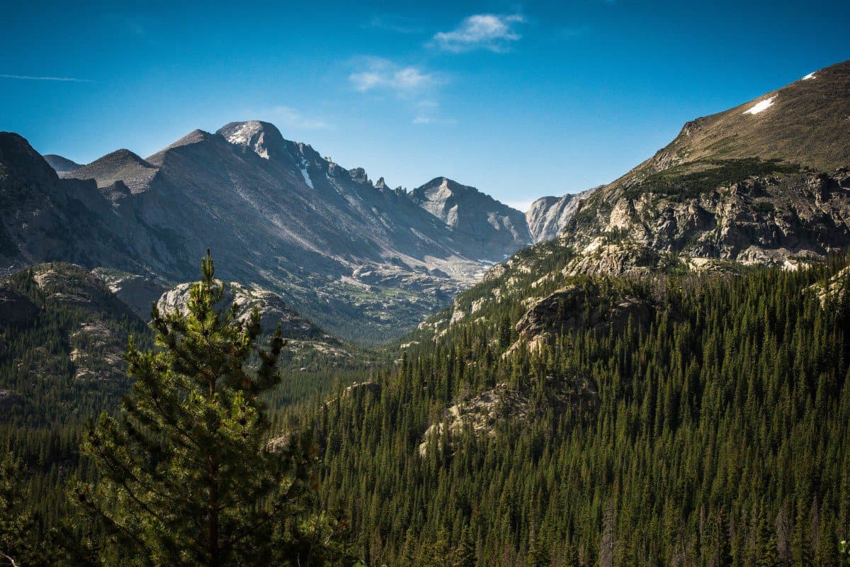 colorado-americangambler.com