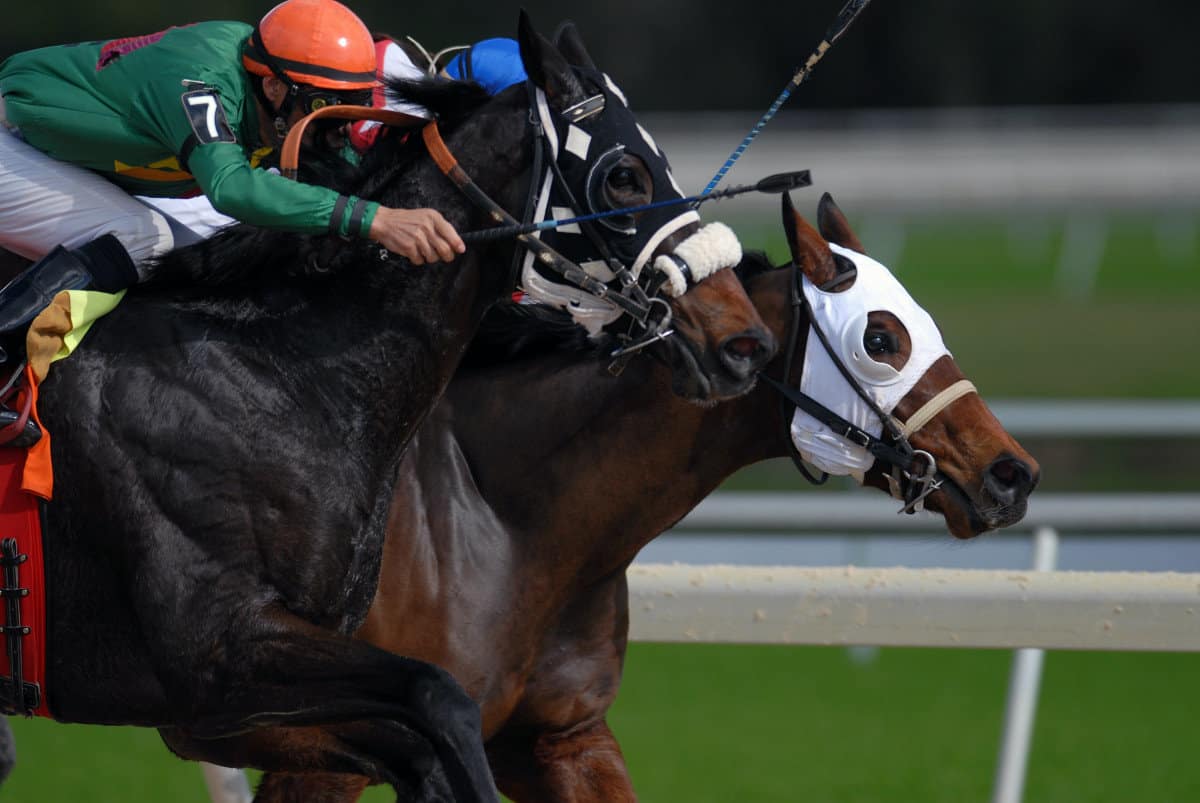 BGC_Royal Ascot