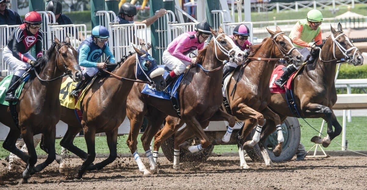 British and Irish racing