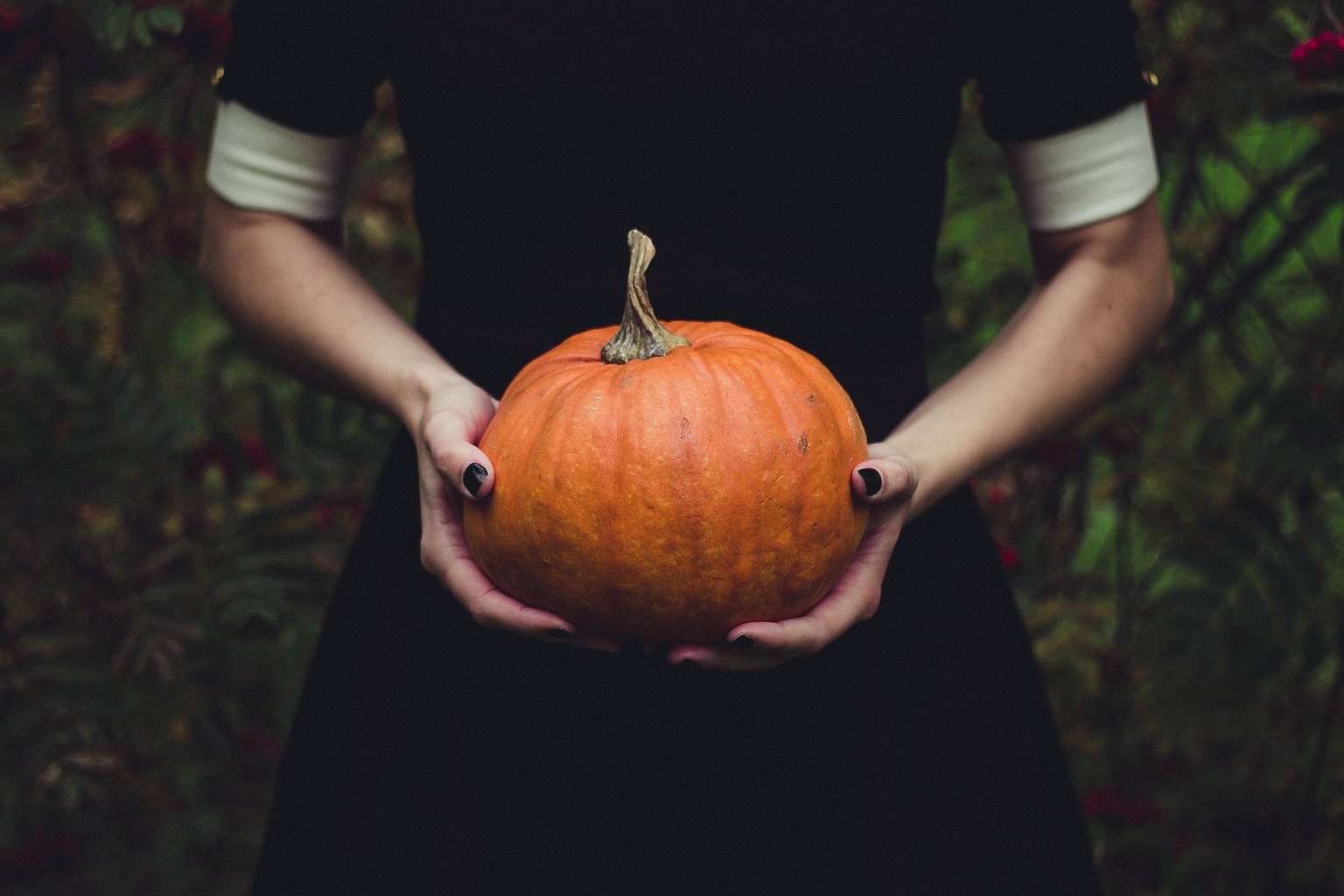 Halloween, pumpkin, witch