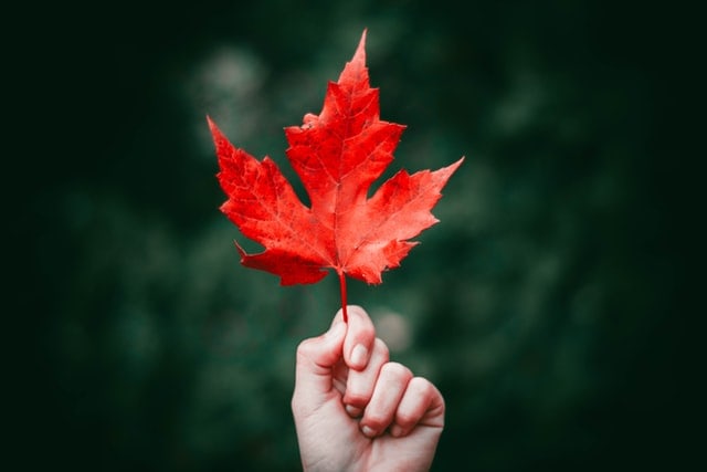 nong-v-L0cbdz6_eYU-unsplash