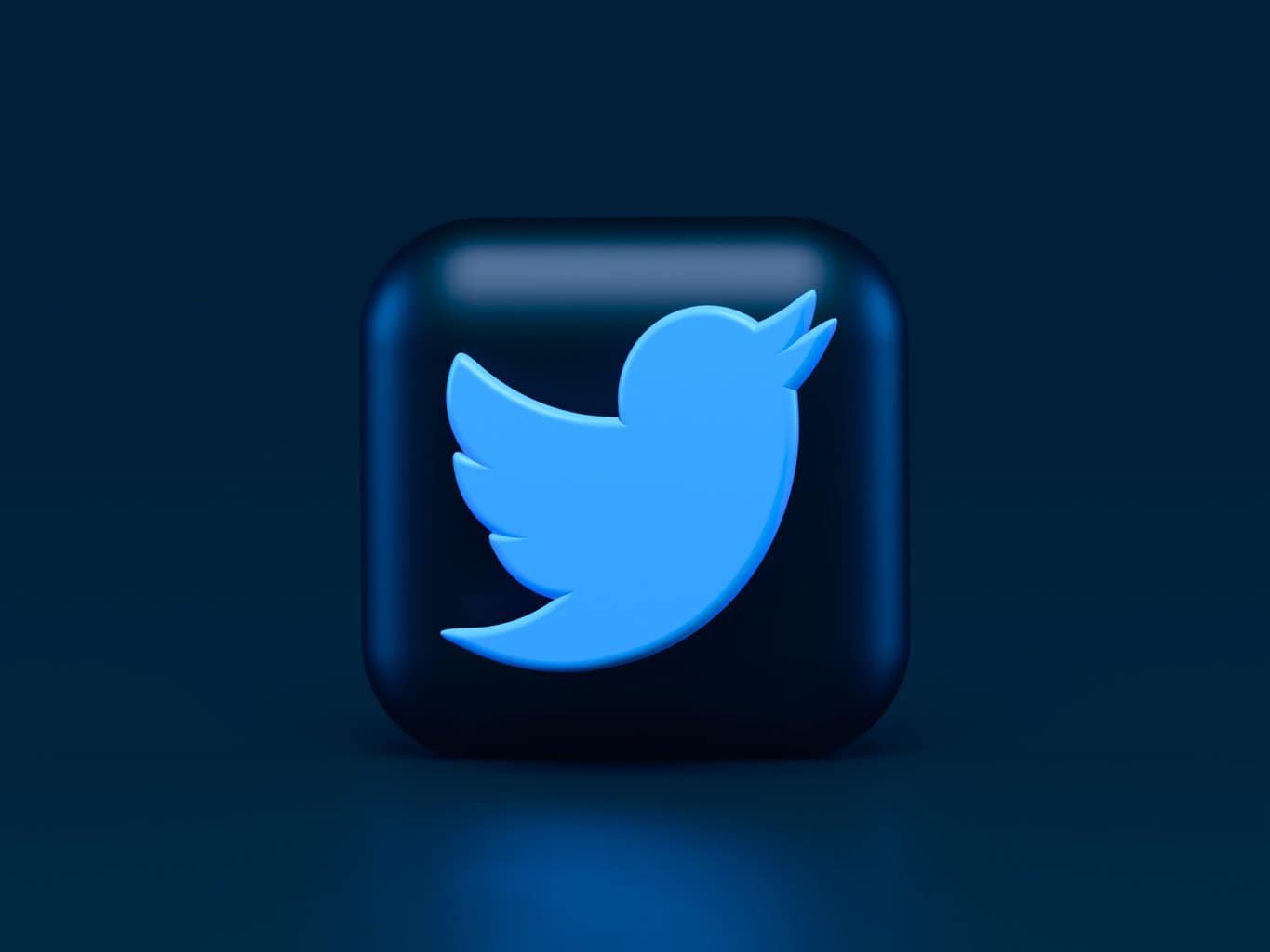 twitter, social media marketing, strategy guide, small business