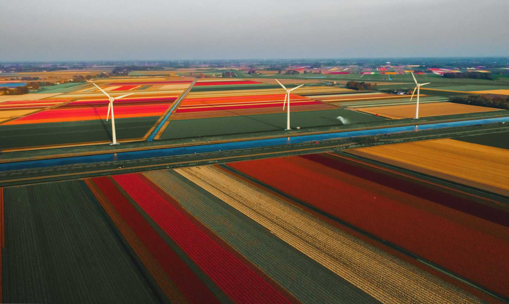 netherlands