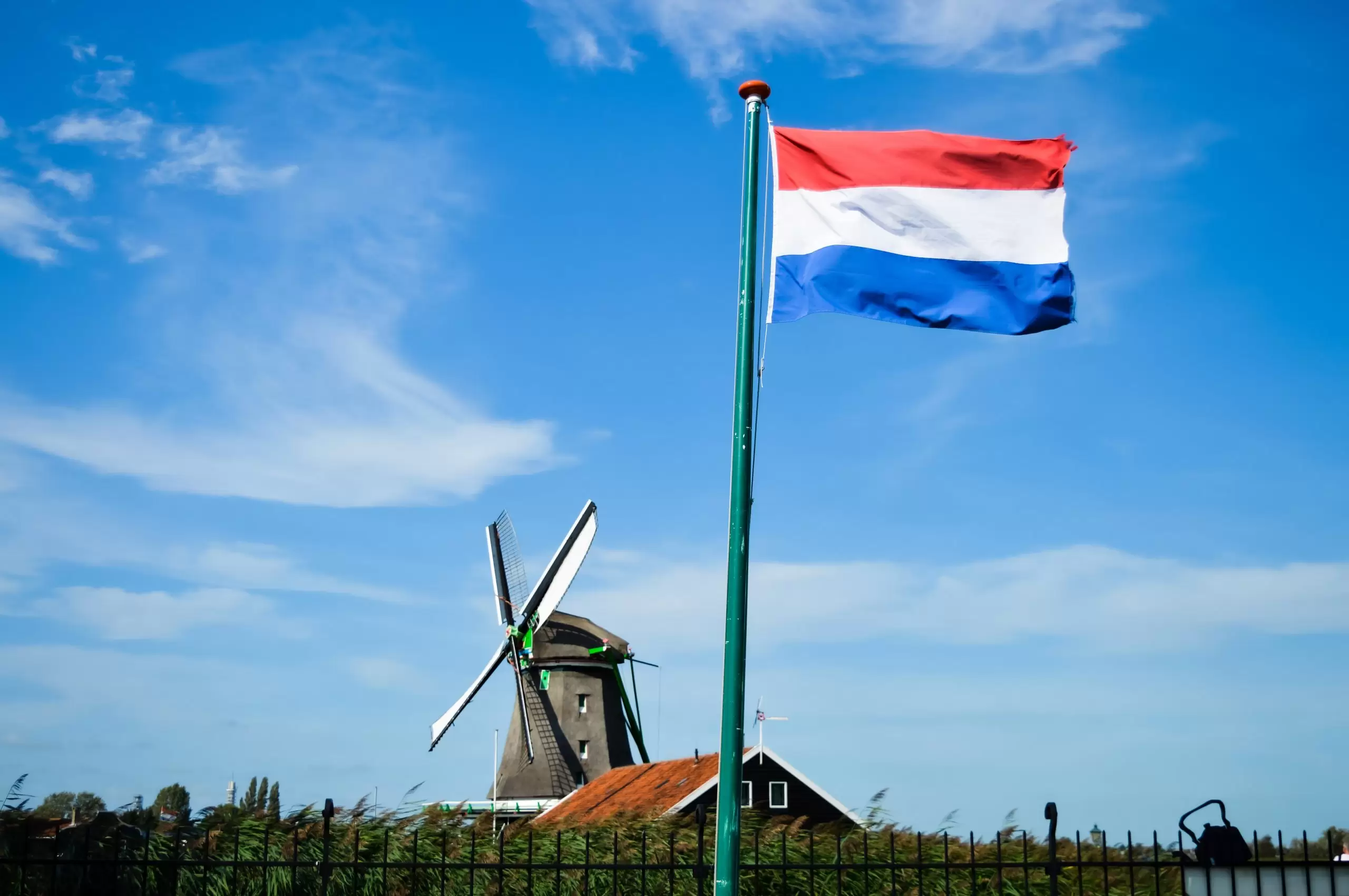dutch-scaled.jpg